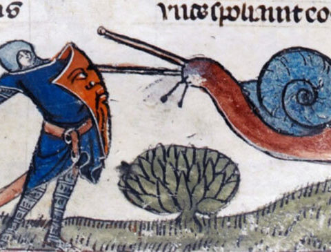 fonte storica attendibile