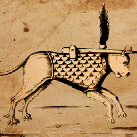 cane incendiario guerra