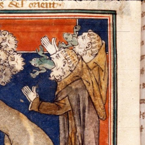 bestiario medievale animali