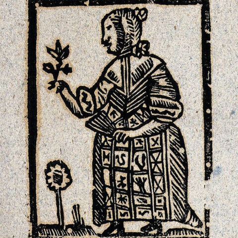 interrogatorio della strega