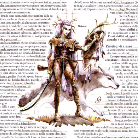 la magia dei druidi nella storia