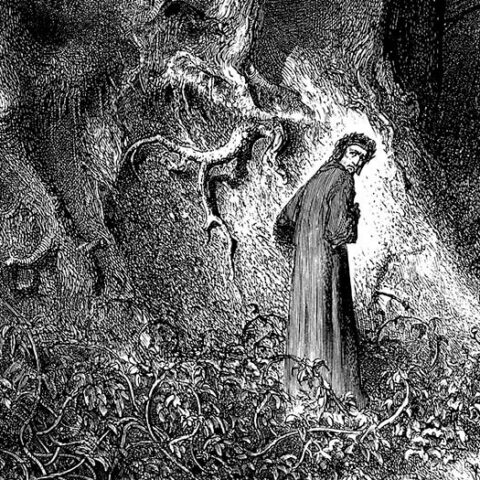 il bosco nel medioevo selva oscura